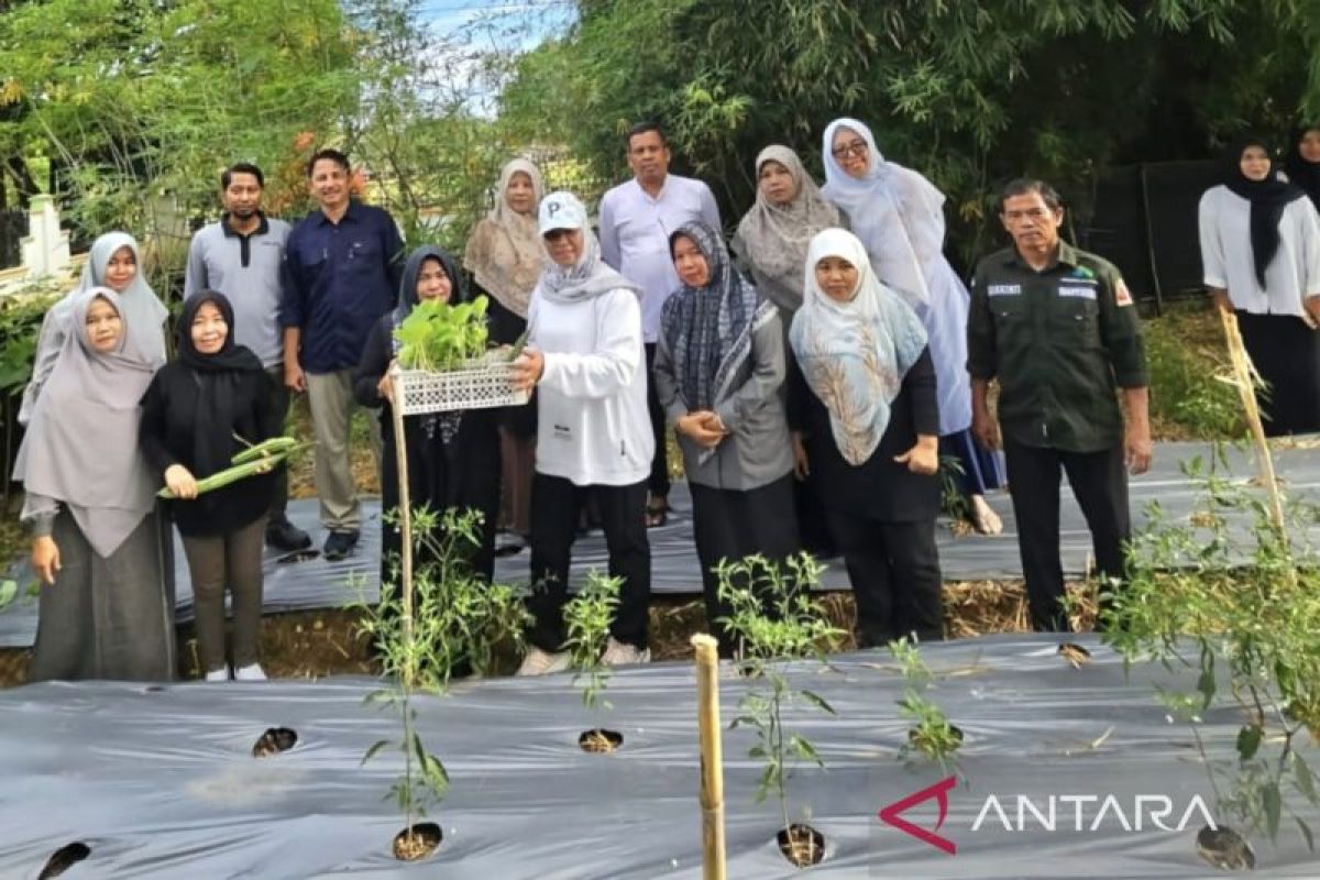 Pemkab Nagan Raya Aceh panen tanaman pangan di halaman perkantoran