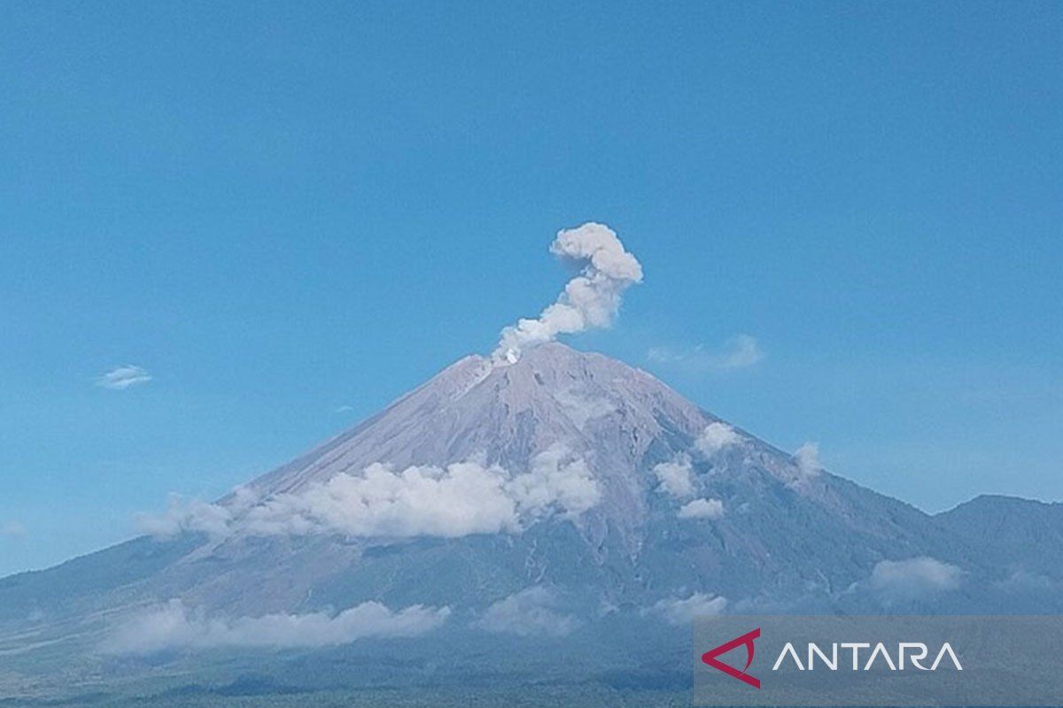 Gunung Semeru erupsi setiap hari dalam sepekan terakhir