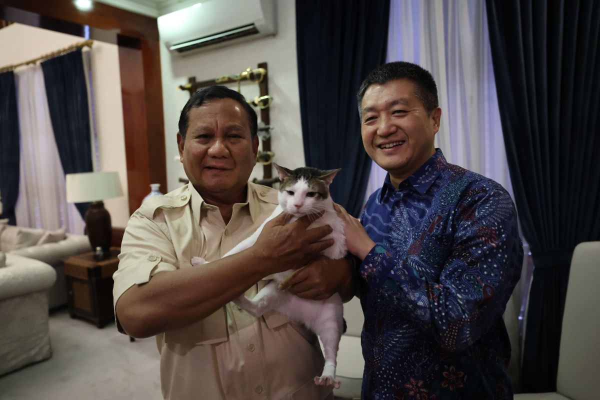 Prabowo terima kunjungan Dubes China, foto bareng kucing