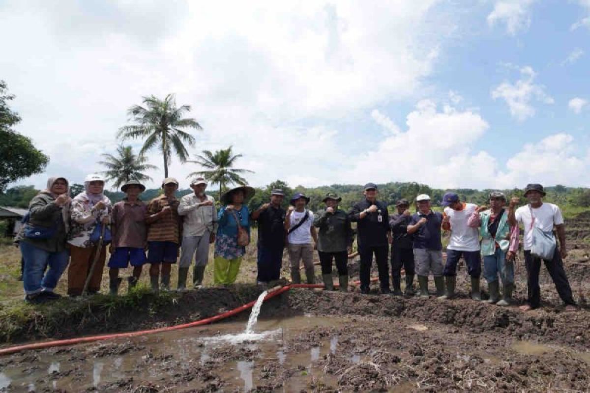 Kementan bantu percepatan tanam sawah bera di Sumedang-Subang