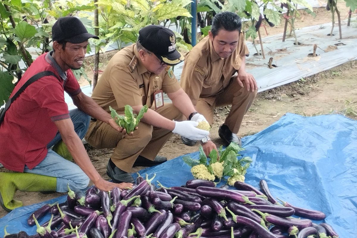 APBD 2024 Tabalong capai Rp3 triliun usai terima dana tambahan dana bagi hasil