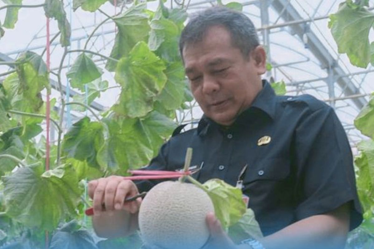 Penjabat Bupati Purwakarta sebut buah melon berpotensi jadi produk unggulan
