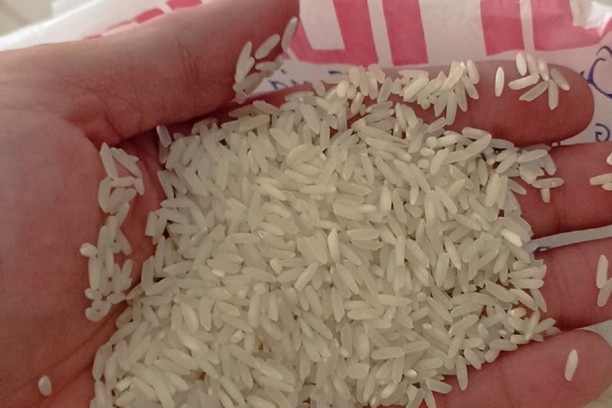 Pj Wali Kota: Kenaikan harga beras belum pengaruhi daya beli warga