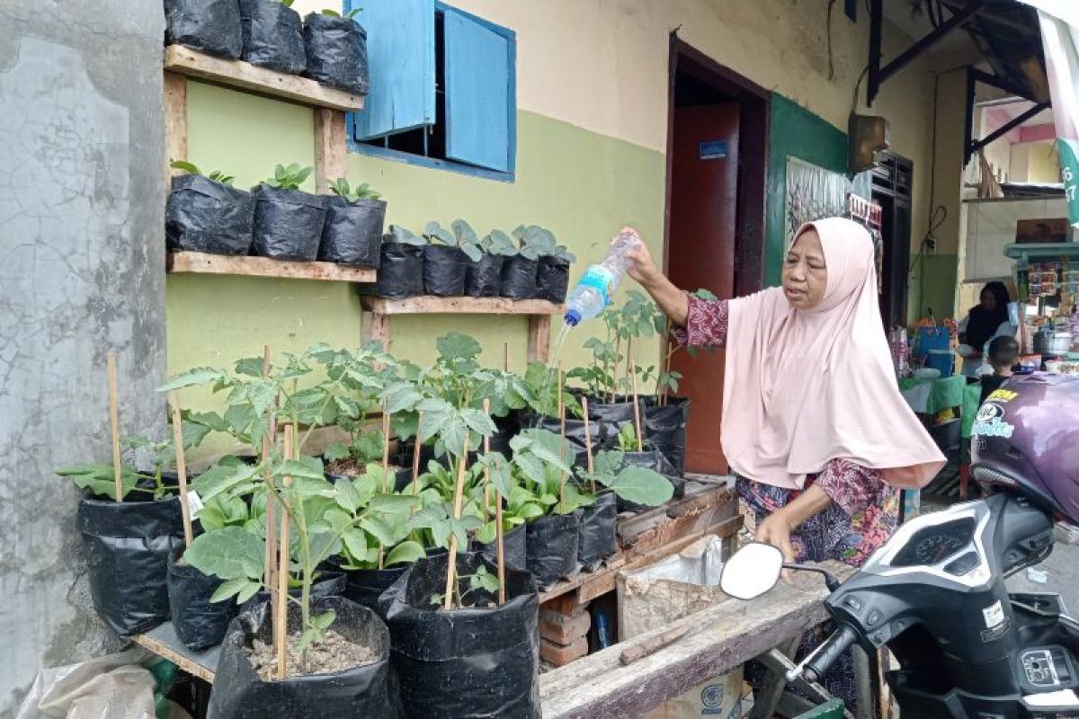 Distan Mataram mendorong warga kembangkan hortikultura melalui P2L