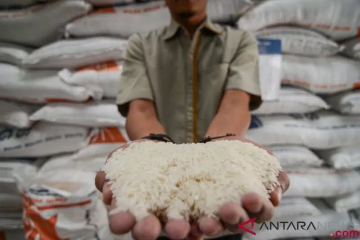 Disperindag DIY minta masyarakat tidak panik soal persediaan beras