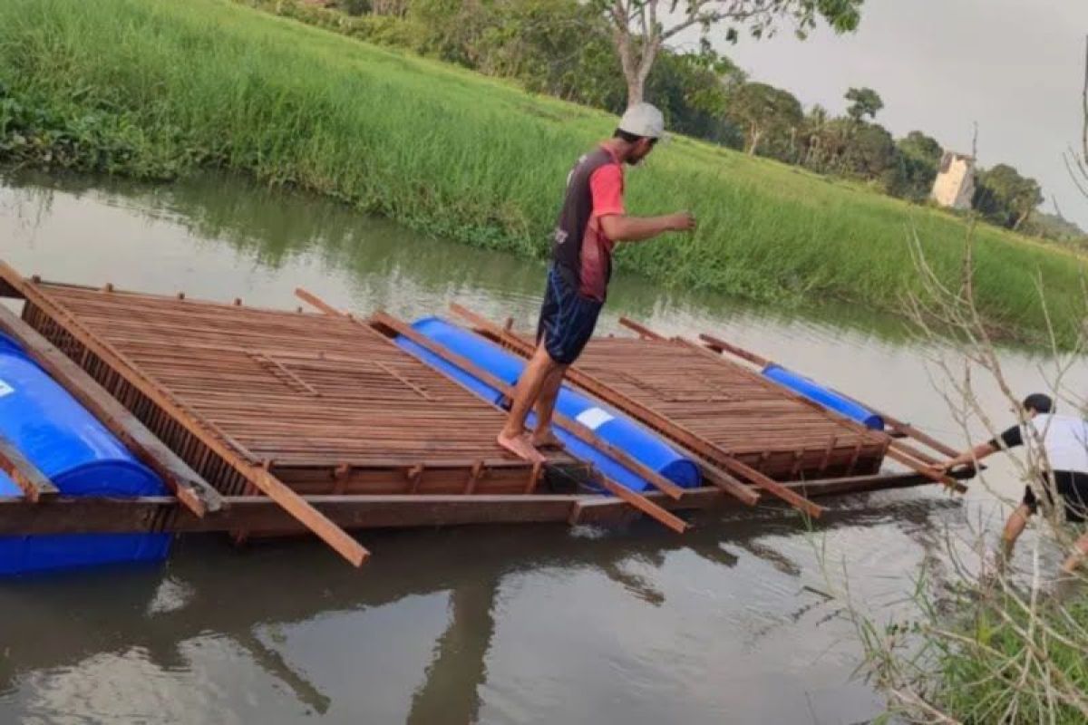 Produksi perikanan di Kabupaten Tabalong capai 19 ribu ton