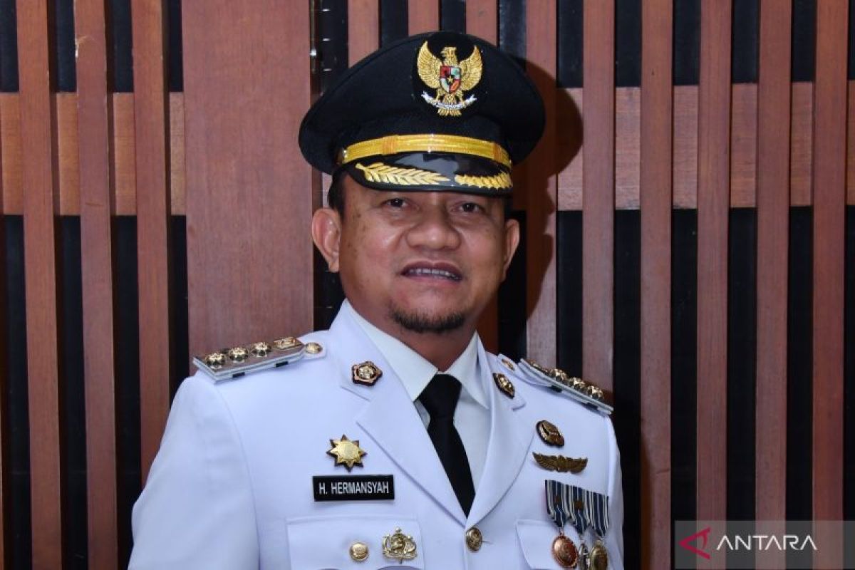 Pj Bupati HSS ingatkan wajib pajak laporkan SPT tepat waktu