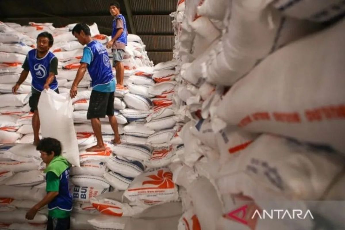 Legislator minta Food Station profesional sediakan stok beras premium