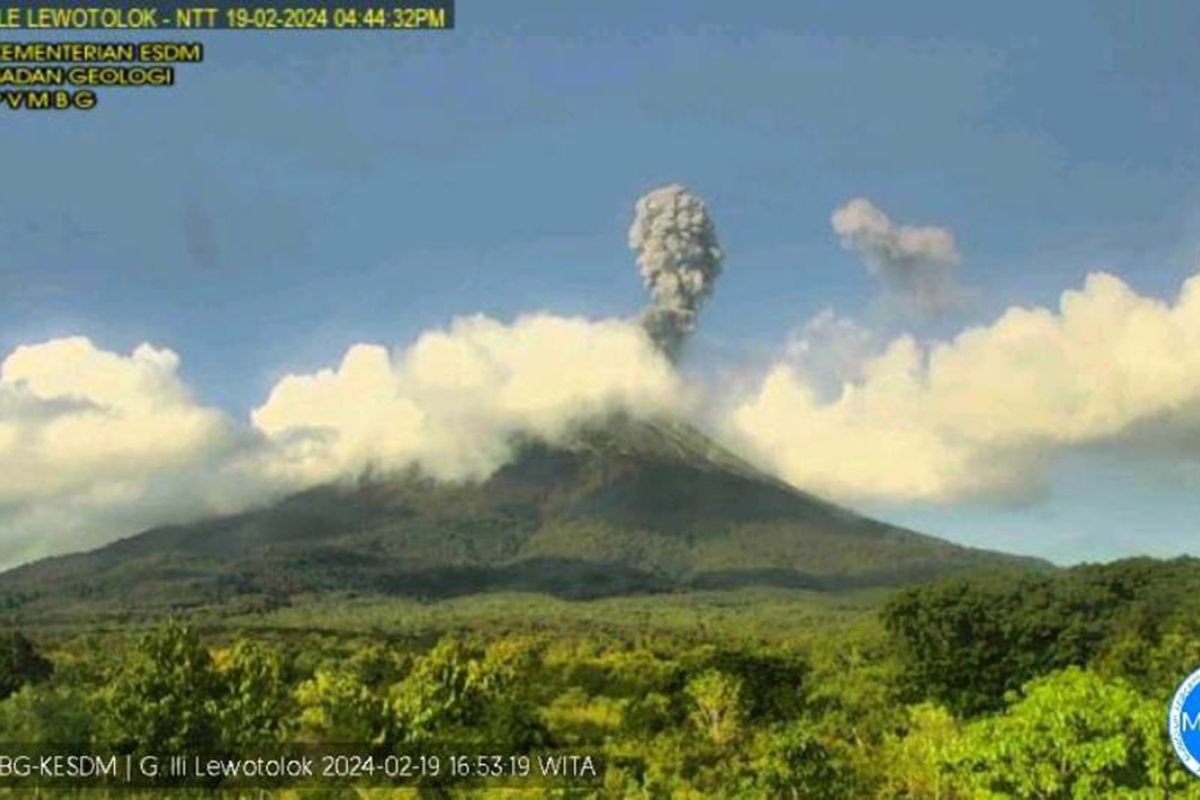 Gunung Ile Lewotolok erupsi lagi Senin sore, capai 1.000 meter