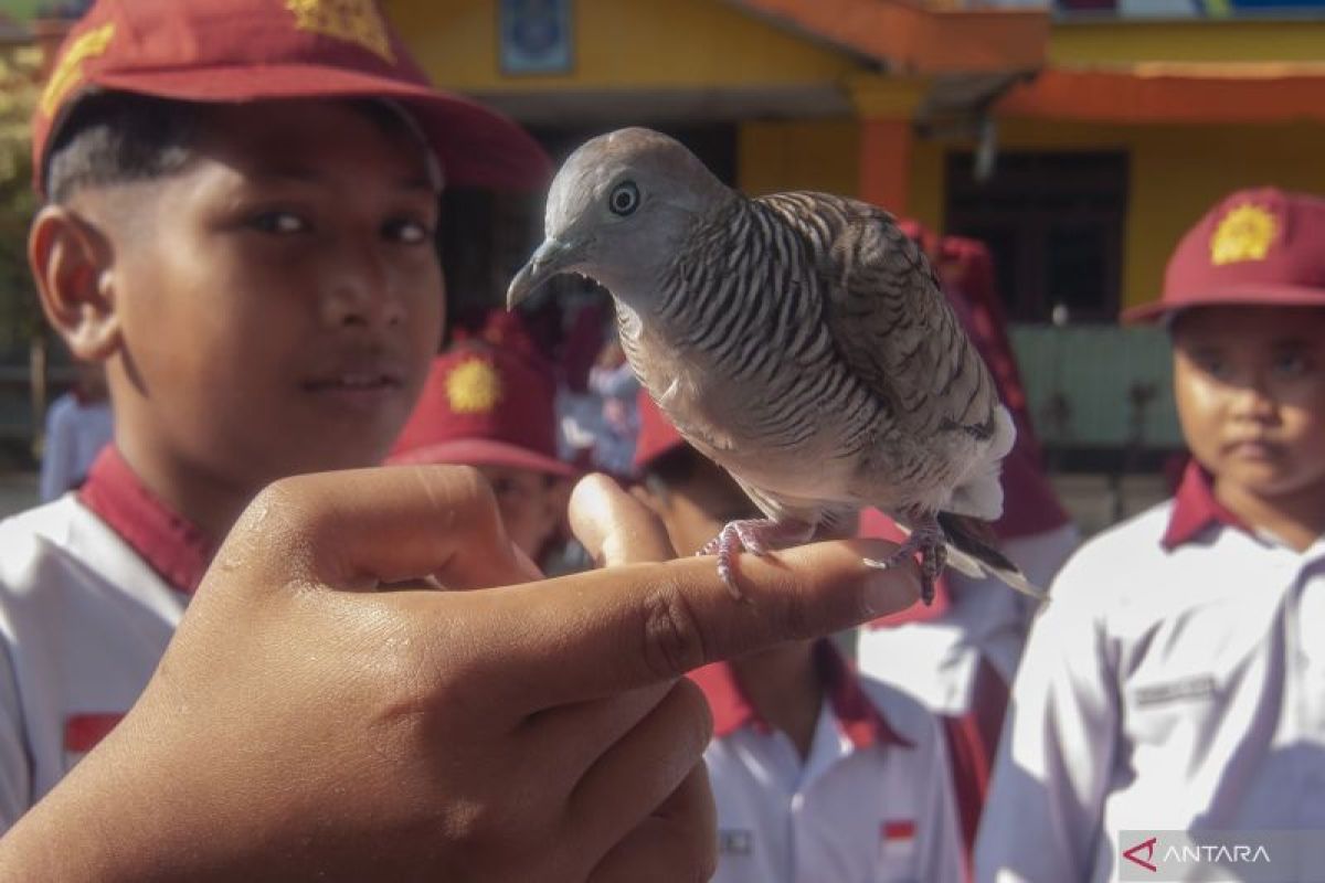 BRIN: Ekopedagogi bangun kesadaran siswa terhadap kondisi lingkungan