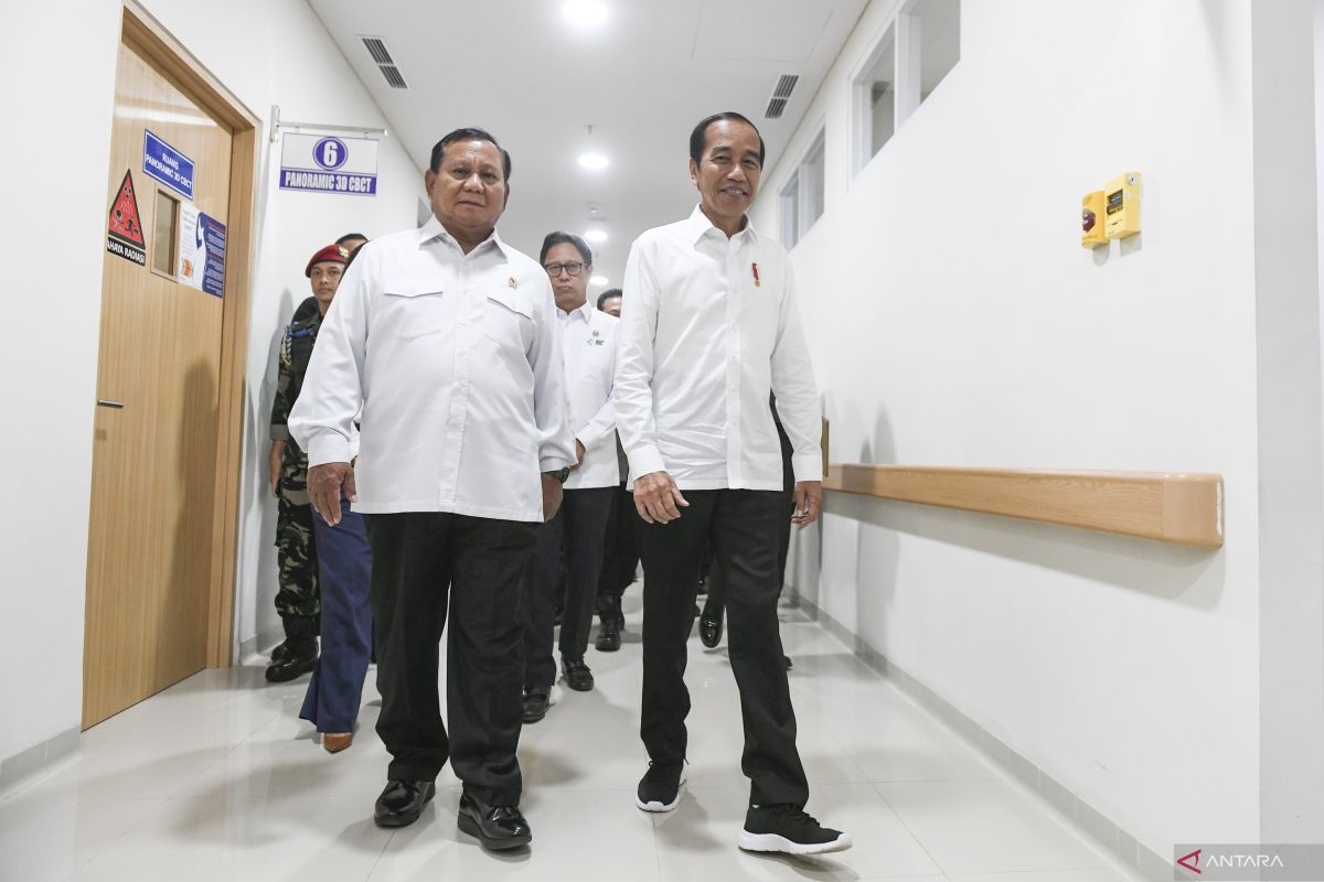 Pengamat: Berjalan mulus, transisi pemerintahan Jokowi kepada Prabowo