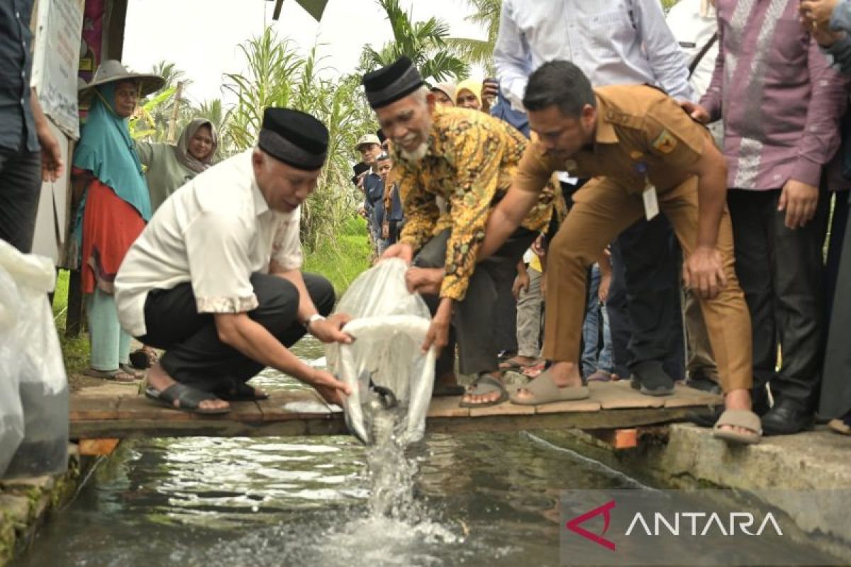 Sumbar siapkan bantuan bibit ikan guna mendukung ketahanan pangan