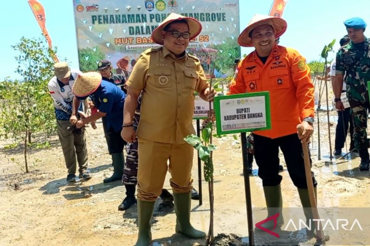 SAR Pangkalpinang tanam mangrove peringati HUT ke-52