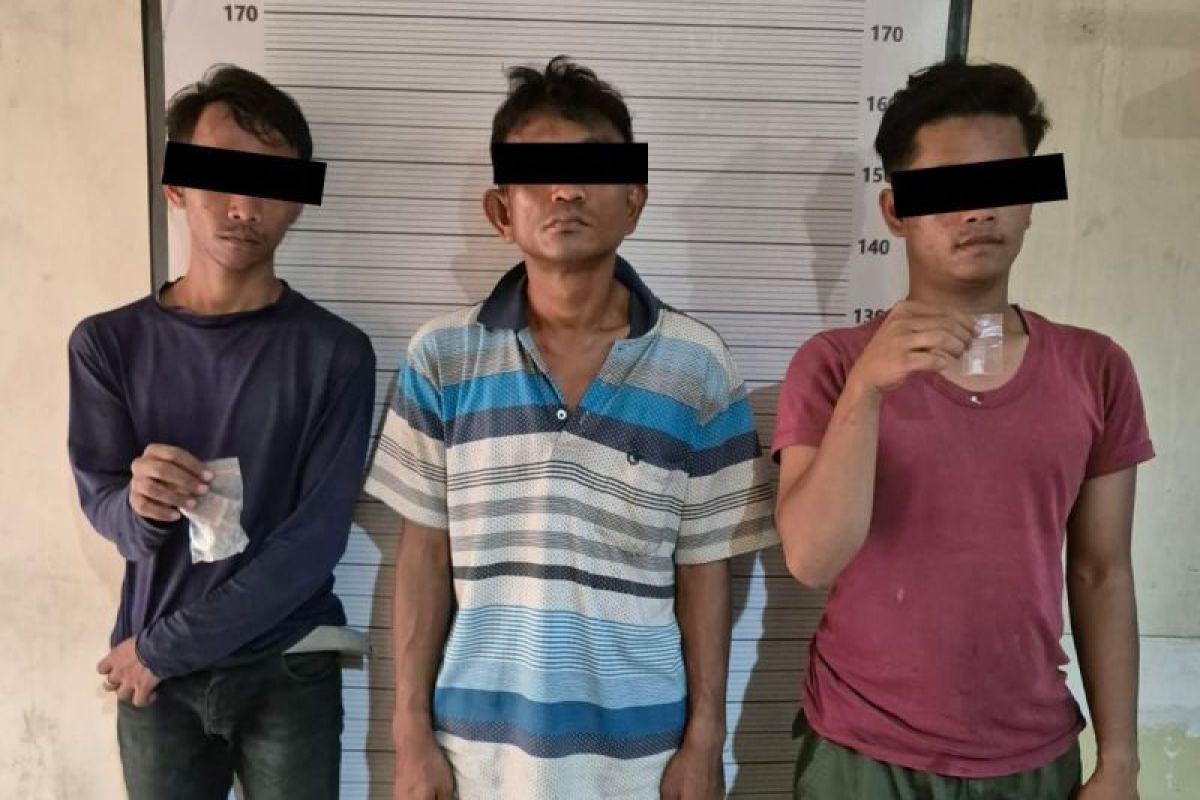 Polrestabes Medan tangkap tiga terduga pengedar ganja 43,85 gram
