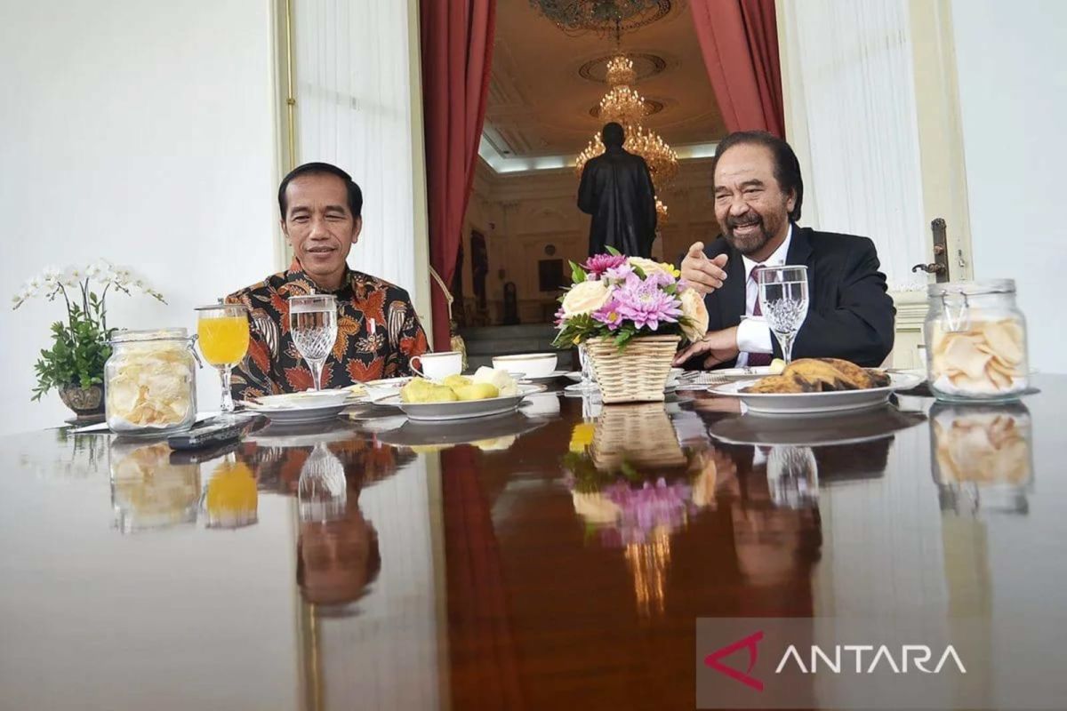 Pertemuan Jokowi-Surya Paloh sebatas jaga komunikasi