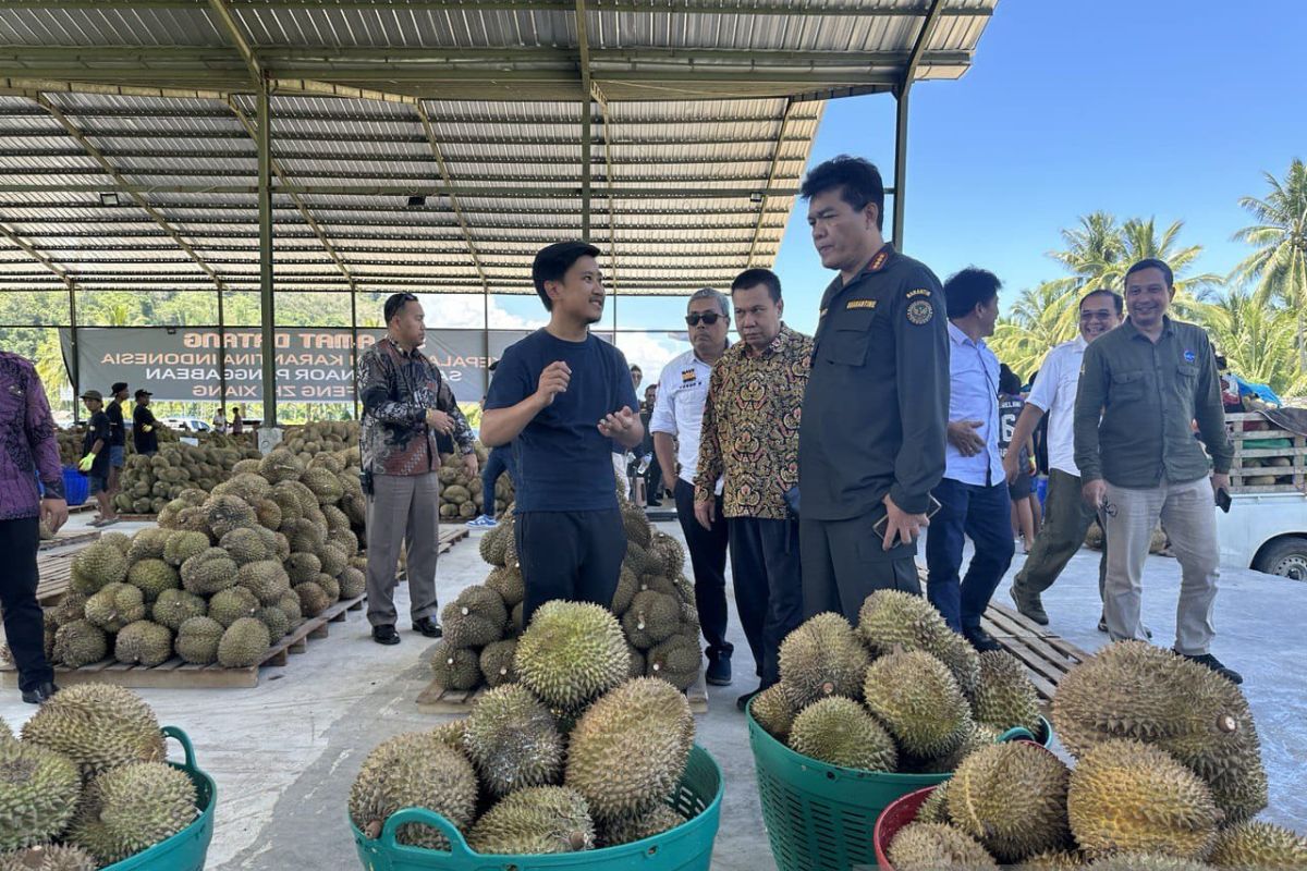 Menko Luhut bidik Sulteng untuk kembangkan potensi ekspor durian