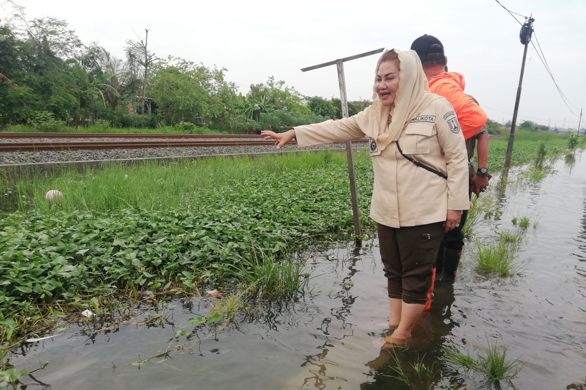 Pemkot Semarang normalisasi drainase jalan protokol langganan banjir