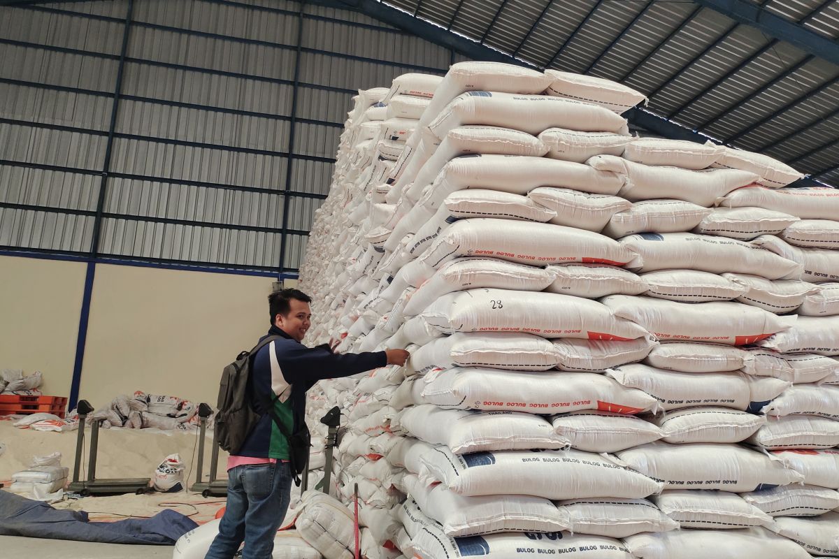 Bulog Lampung sebut cadangan beras pemerintah tersedia 15.573 ton
