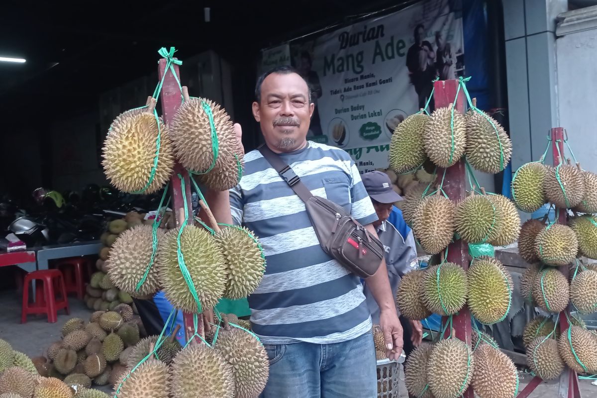 Panen durian Badui gulirkan perputaran uang hingga miliaran rupiah