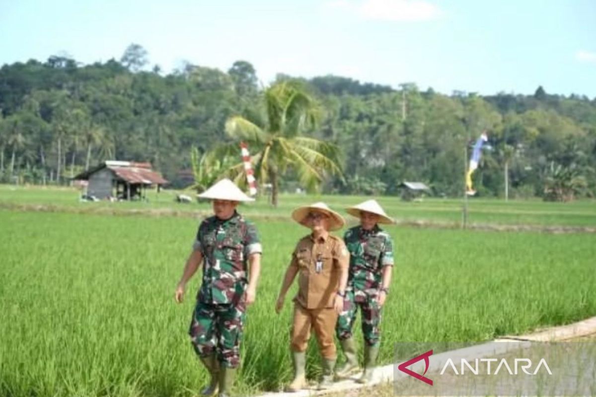Progam TNI manunggal bangun 89 titik air di Kukar