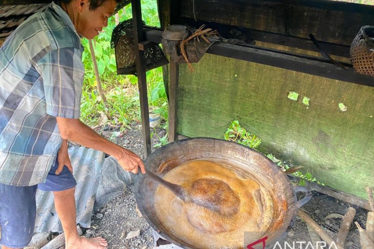 Mereguk manisnya nira sambil menjaga Gunung Palung