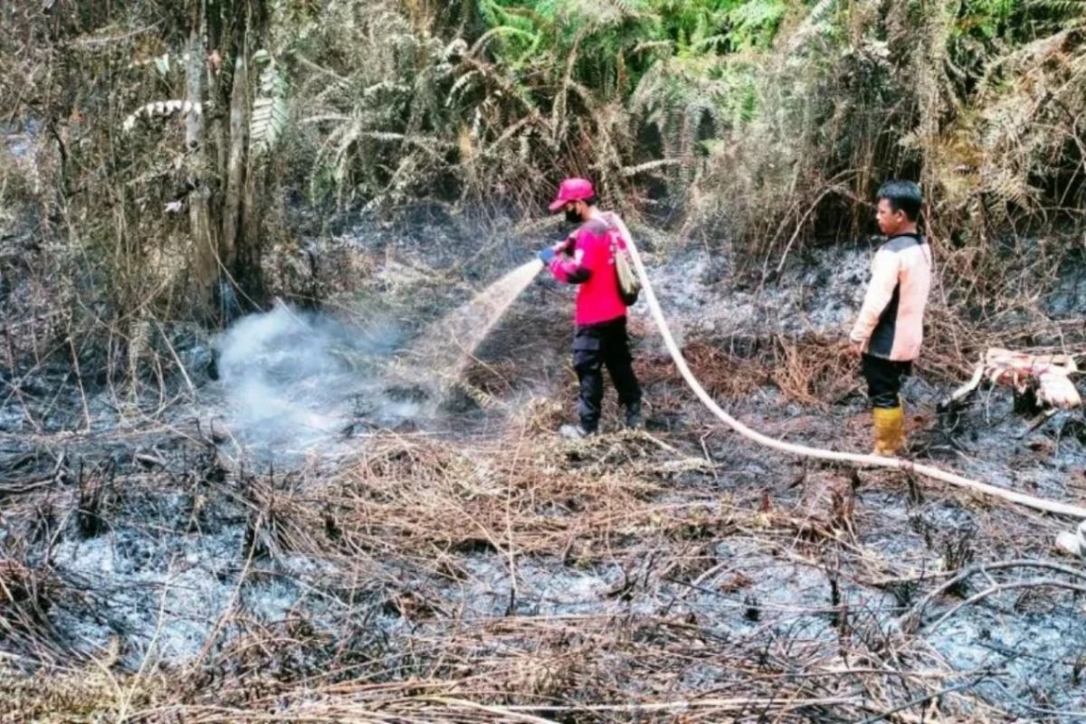 Titik panas di Kalimantan Timur terdeteksi turun menjadi 78
