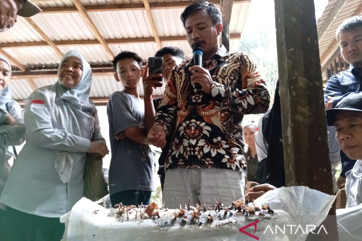 DPMPD Kaltim optimistis penjaga hutan mandiri dari  budi daya lebah