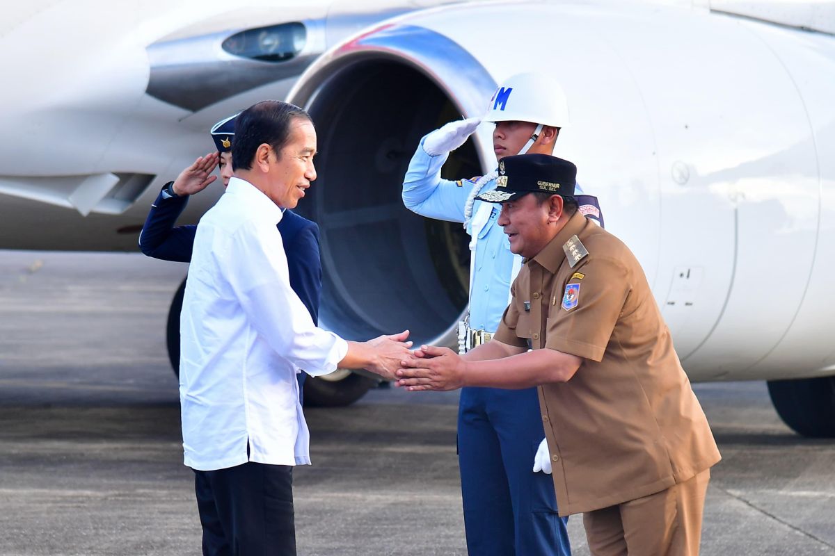 Pj Gubernur Sulsel jemput Presiden Jokowi di Bandara Hasanuddin