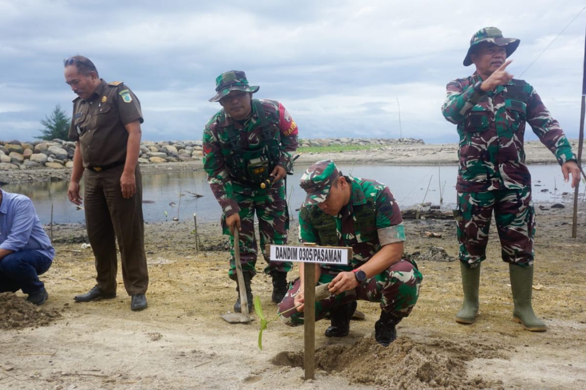 Kodim 0305/Pasaman tanam pohon mangrove di Pantai Sasak