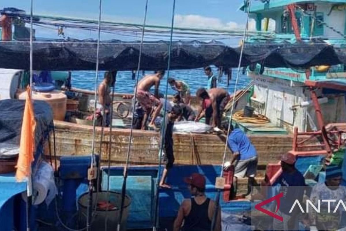 Pabrik ikan tuna di Biak ditargetkan beroperasi April