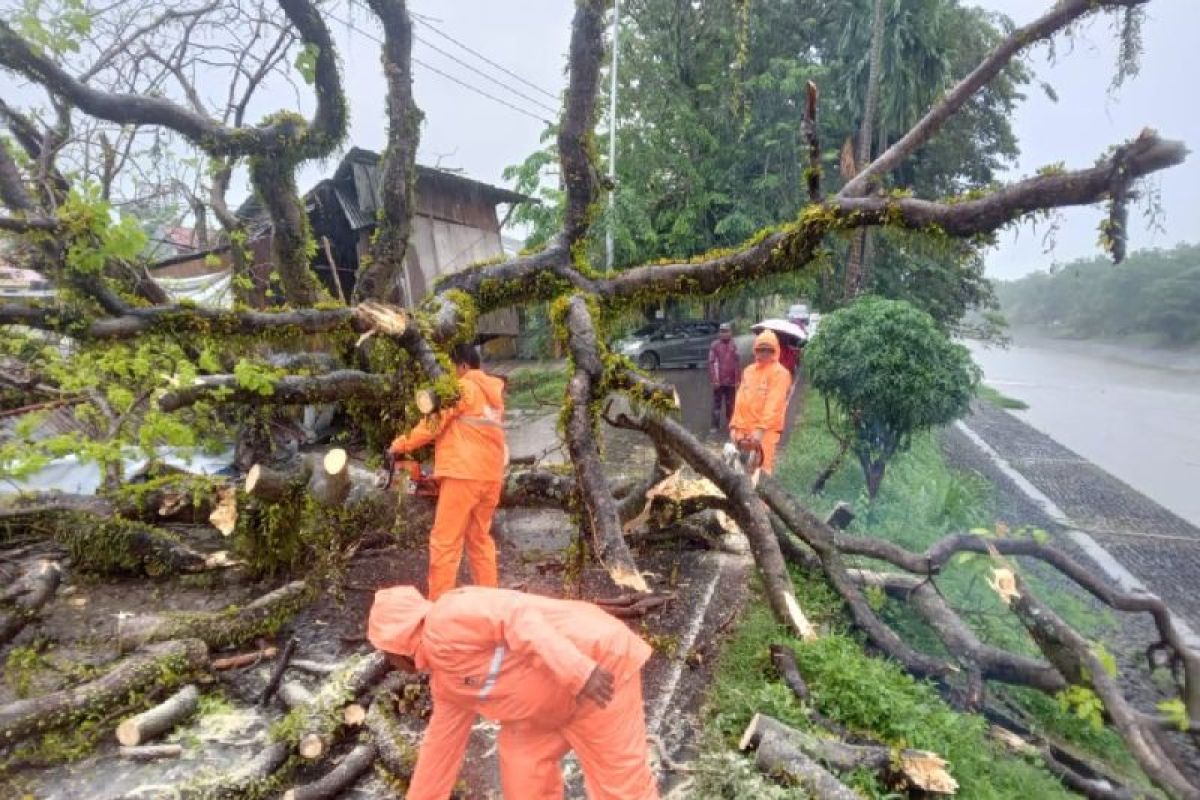 Padang siaga bencana antisipasi dampak musim pancaroba
