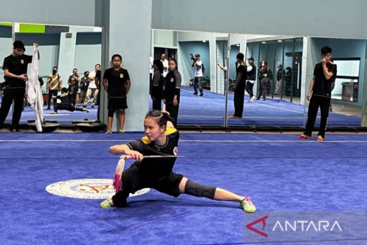 Wushu Indonesia pertahankan kejuaraan virtual untuk regenerasi atlet