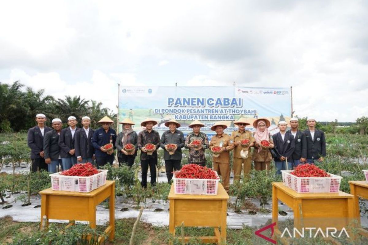 BI-Pemprov Babel kembangkan program kemandirian ekonomi pesantren