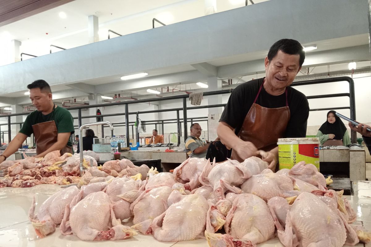 Harga daging ayam di Gorontalo mulai naik