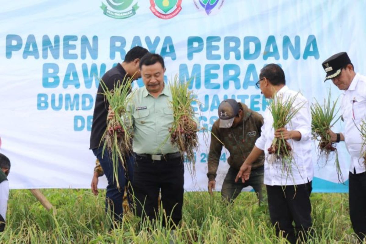 Pemkab Garut dukung pengembangan bawang merah batu di Desa Sindangsari