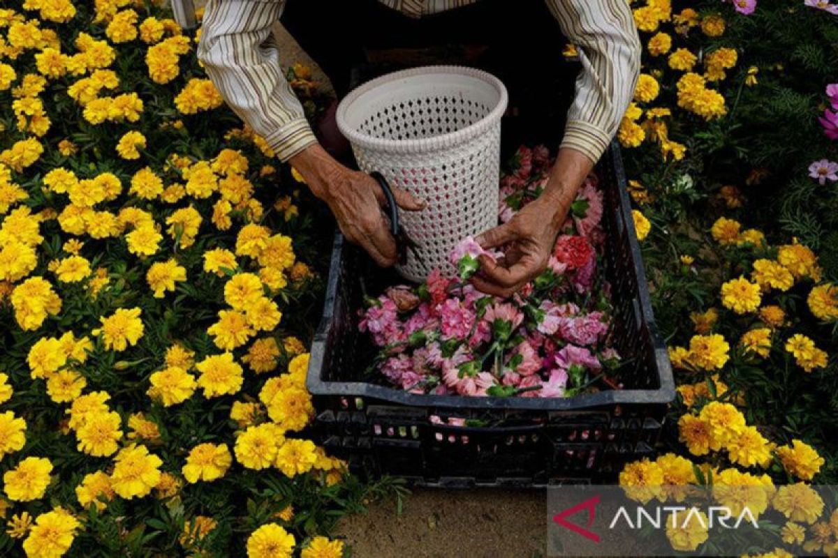 Pemprov promosikan wisata NTT di "Hong Kong Flower Show" 15-24 Maret