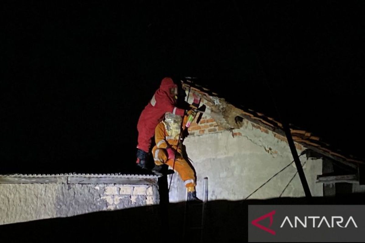 Petugas gabungan Kota Bogor evakuasi sarang tawon di Kedungjaya pada Kamis malam