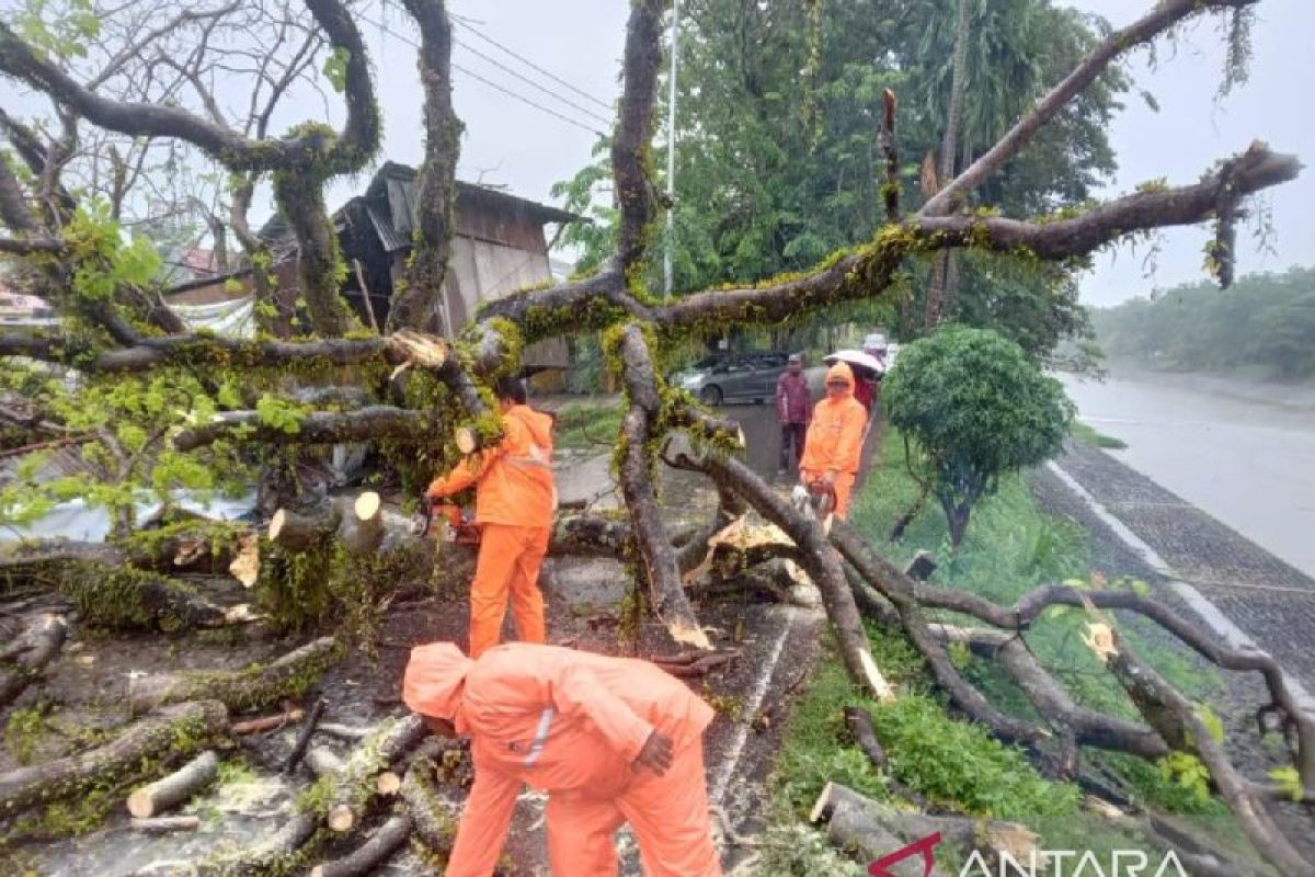 BPBD Padang gugah kesadaran lingkungan warga di tengah musim pancaroba