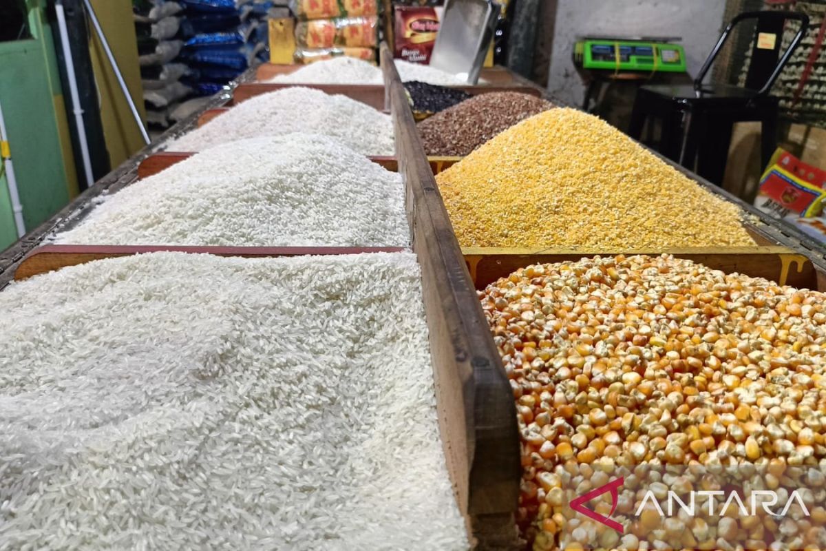 Disperindagkop Kaltim  siapkan toko penyeimbang stabilkan harga beras