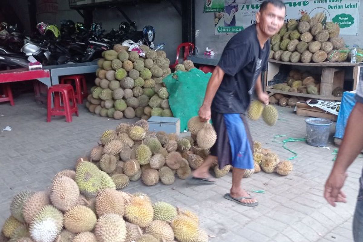 Pemkab Lebak sebut panen hortikultura dapat bebaskan kemiskinan