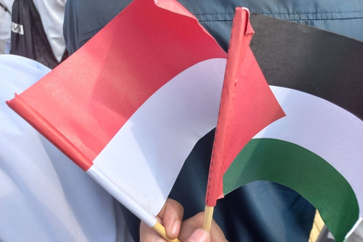 Parlemen Indonesia kembali serukan dukungannya bagi kemerdekaan Palestina