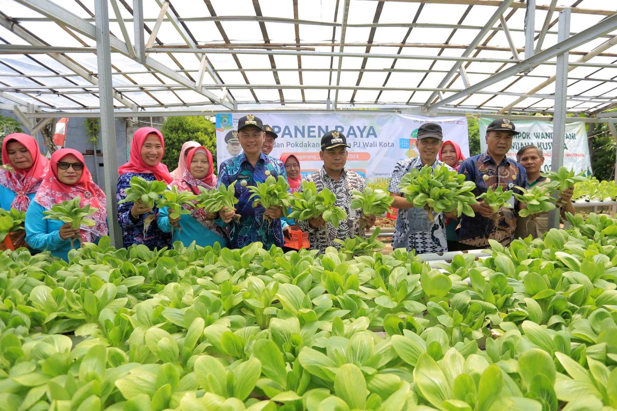 Masyarakat Kota Tangerang diajak tanam sayur metode vertikal