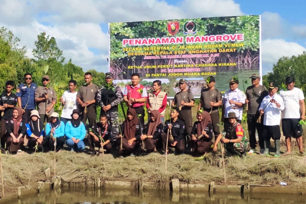 Kodim Bontang pulihkan  ekosistem mangrove seluas 1 hektare