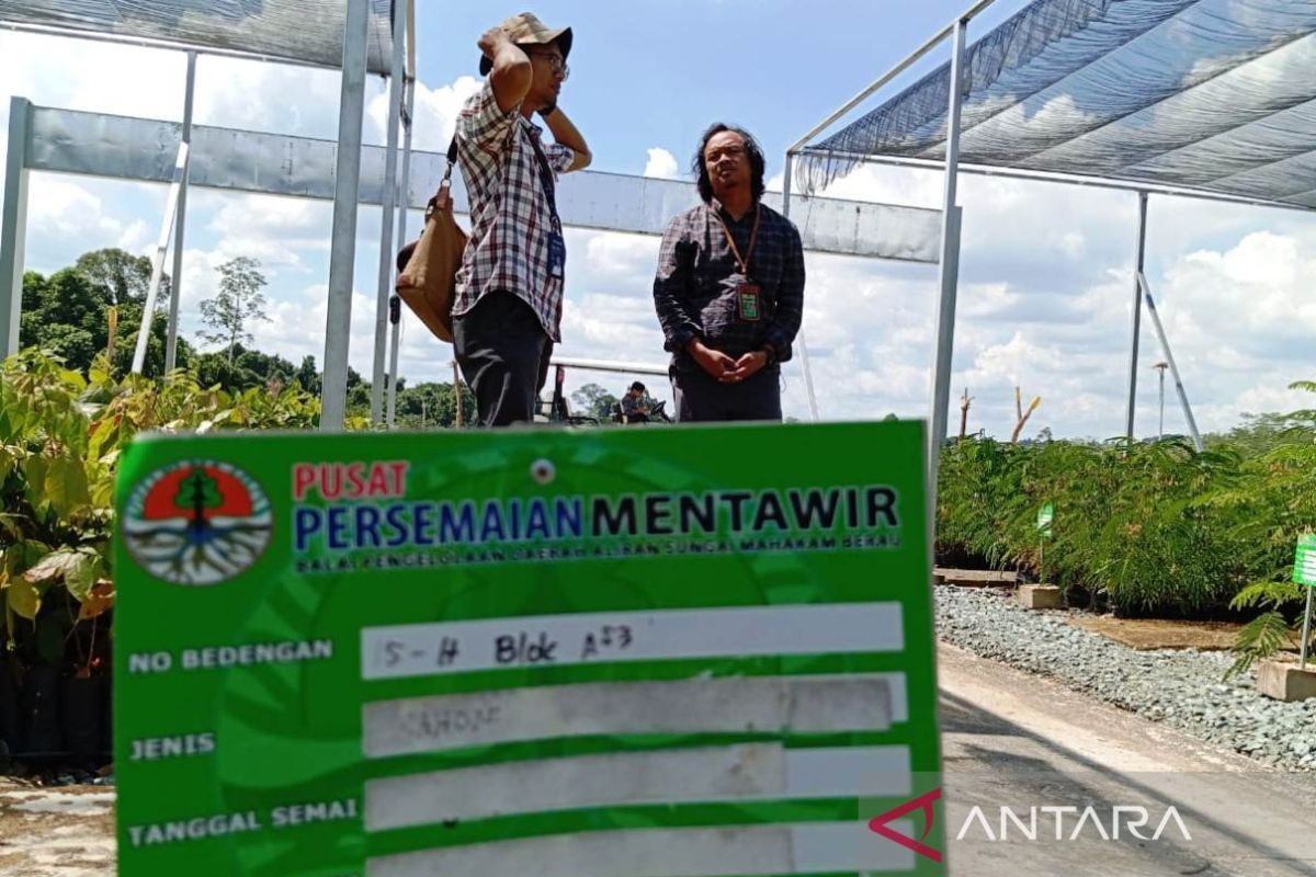 Govt preparing 2.5 mln free tree seeds for Nusantara residents