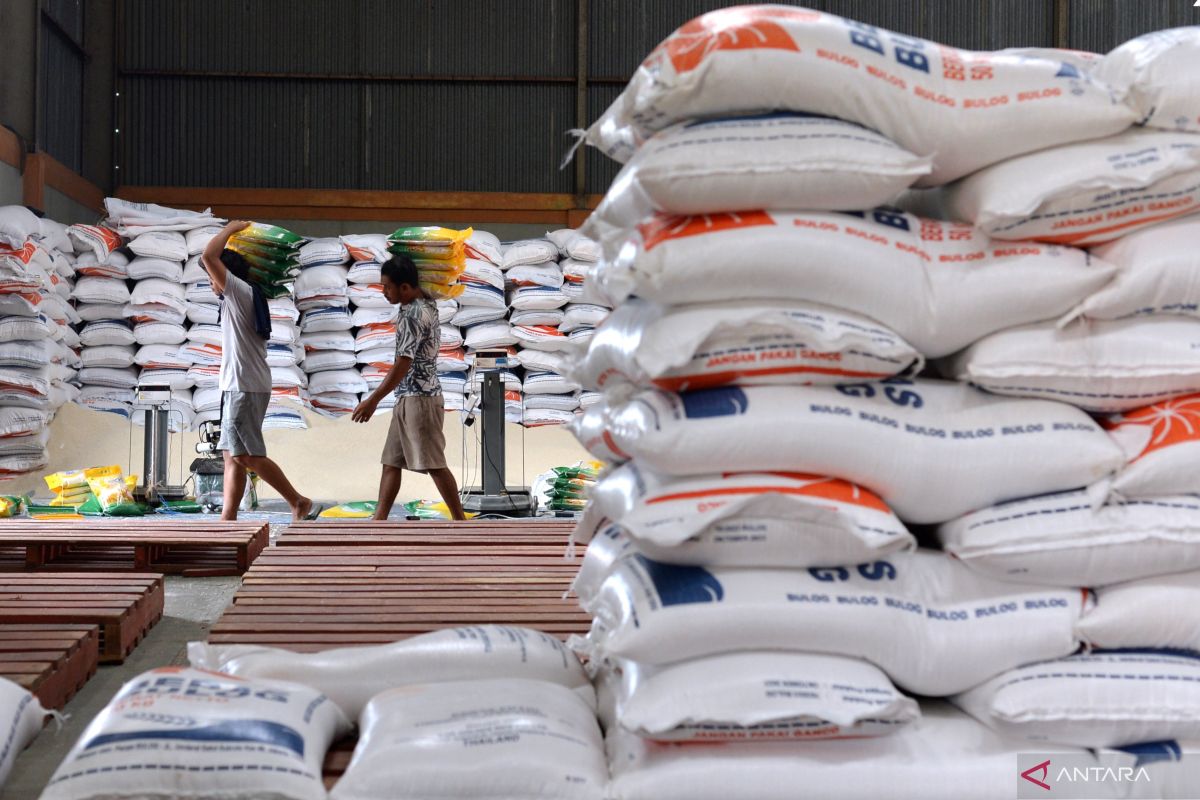 Bulog Bali serap gabah lokal setara 2.900 ton beras hingga Agustus