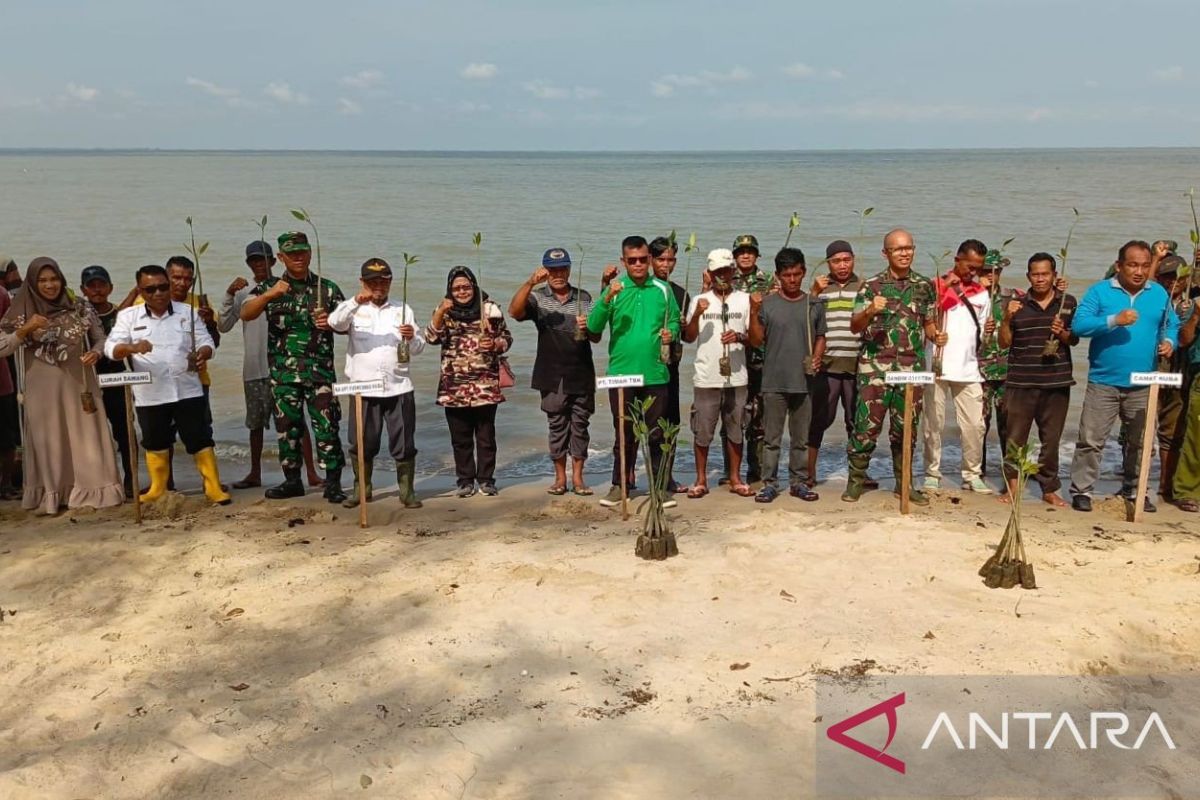 PT Timah dan Kodim 0317/TBK tanam ratusan mangrove di Pantai Sawang Karimun