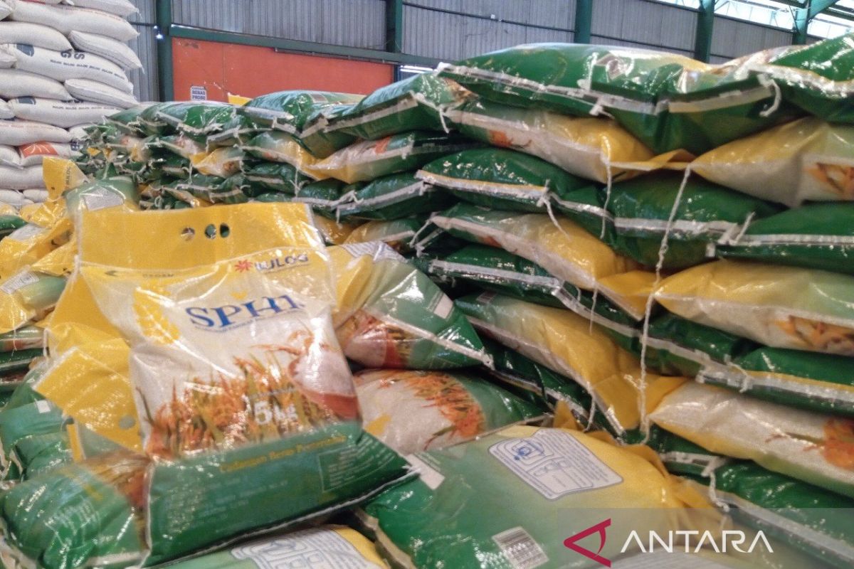 Stok beras Bulog Kaltim mencapai  20 ribu ton
