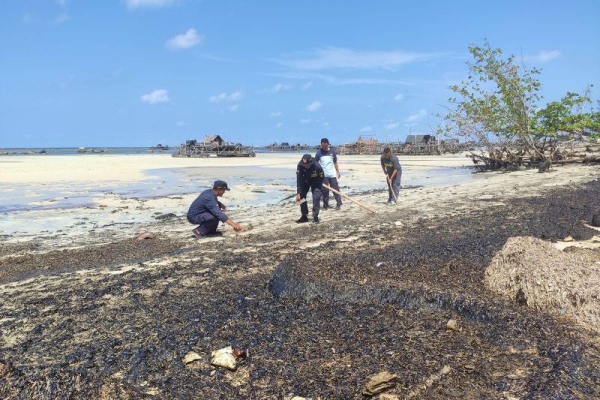 PLP: Limbah minyak hitam kotori kawasan pesisir Bintan