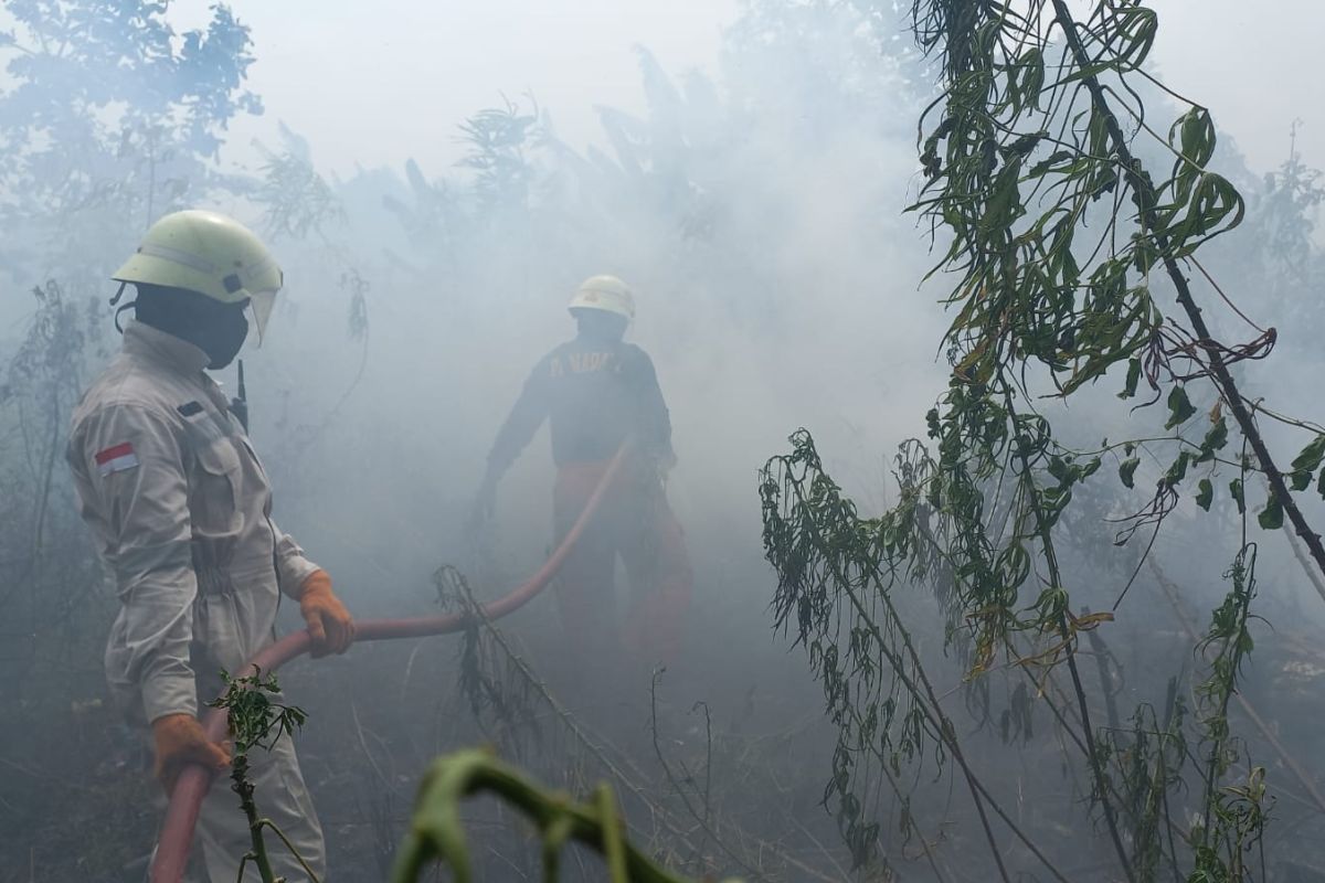 UPTD Damkar Tanjung Uban tangani karhutla 15 hektare