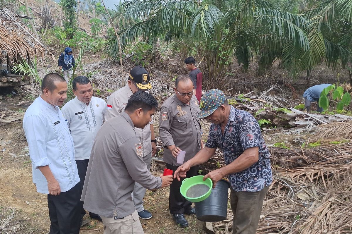 Pemkab Pasaman Barat fasilitasi penelitian limbah batang sawit jadi gula merah